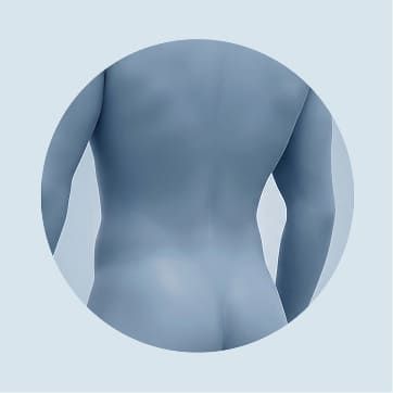 Lower back