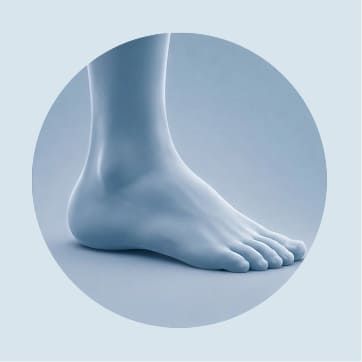 Foot and ankle