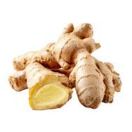 Ginger