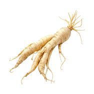 Ginseng